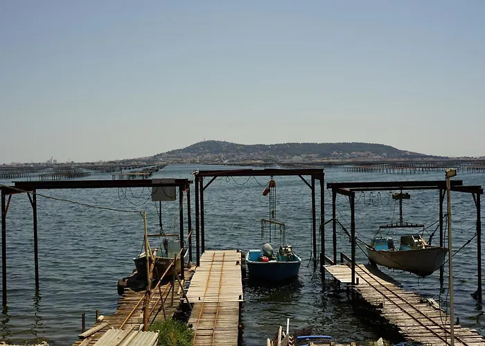 Avec Piscine Prive ,plages A 7 Min ,5km